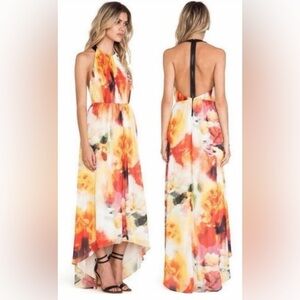 Alice + Olivia Ryan High Neck Leather T-Back Maxi Dress | EUC | Sz 4